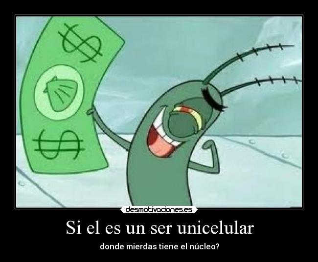 Si el es un ser unicelular - donde mierdas tiene el núcleo?