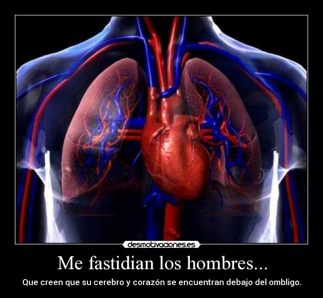 Me fastidian los hombres... - Que creen que su cerebro y corazón se encuentran debajo del ombligo.
