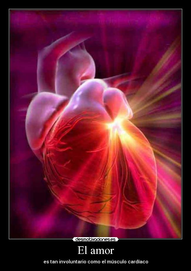 carteles amor medicina desmotivaciones