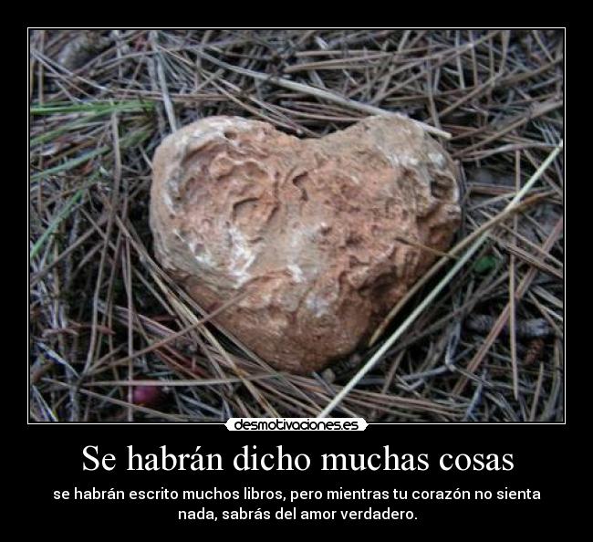 Se habrán dicho muchas cosas -