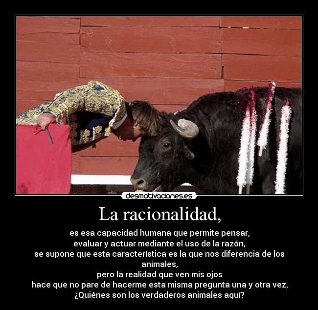 La racionalidad, -
