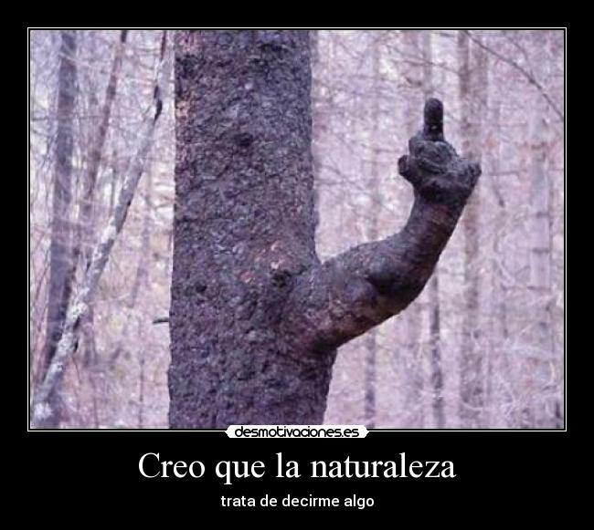 Creo que la naturaleza - 