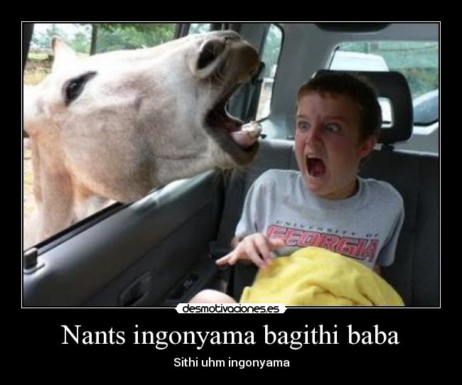 Nants ingonyama bagithi baba - Sithi uhm ingonyama