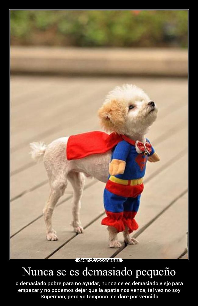 Nunca se es demasiado pequeño -