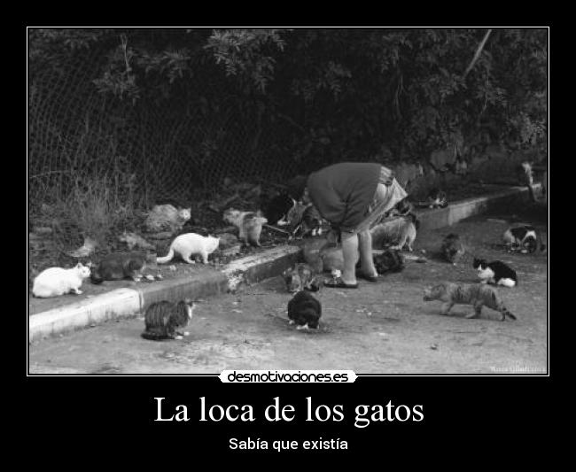 La loca de los gatos -