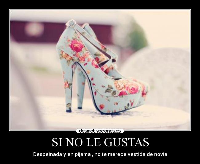 carteles amor novia zapatos tacones chicas flores estilo rosa desmotivaciones