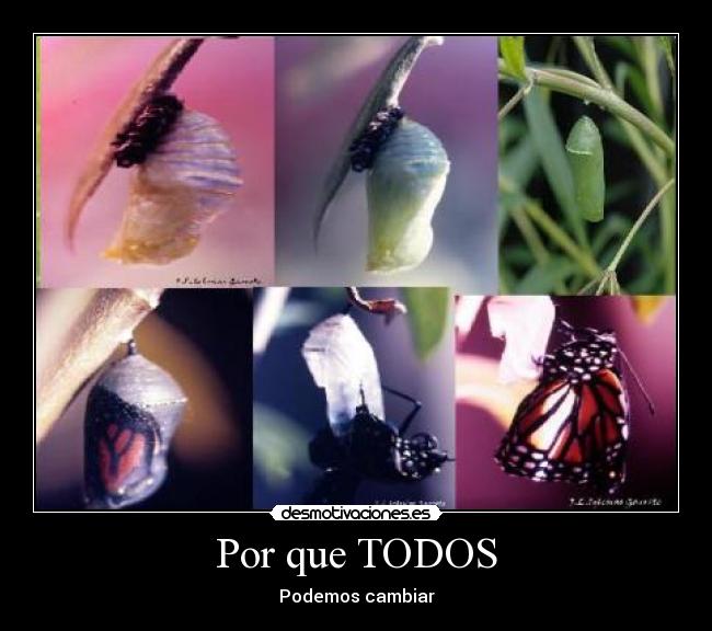 Por que TODOS - Podemos cambiar