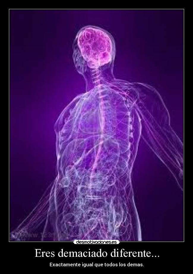 Eres demaciado diferente... - Exactamente igual que todos los demas.
