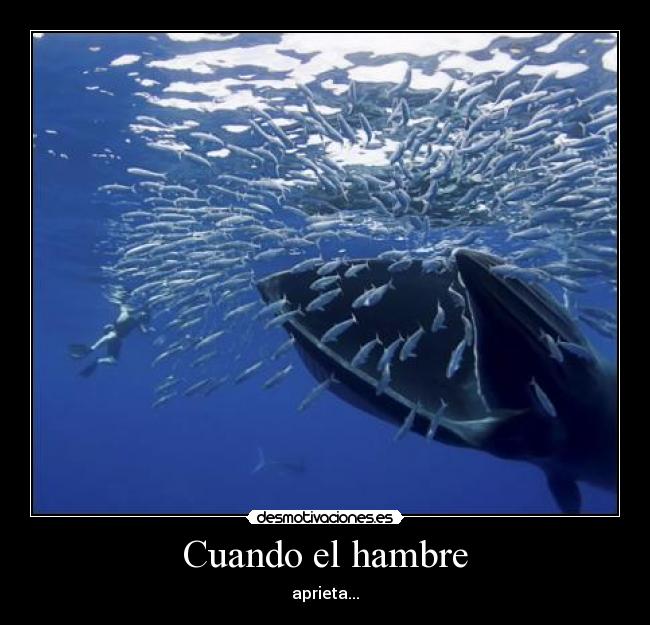 Cuando el hambre - aprieta...