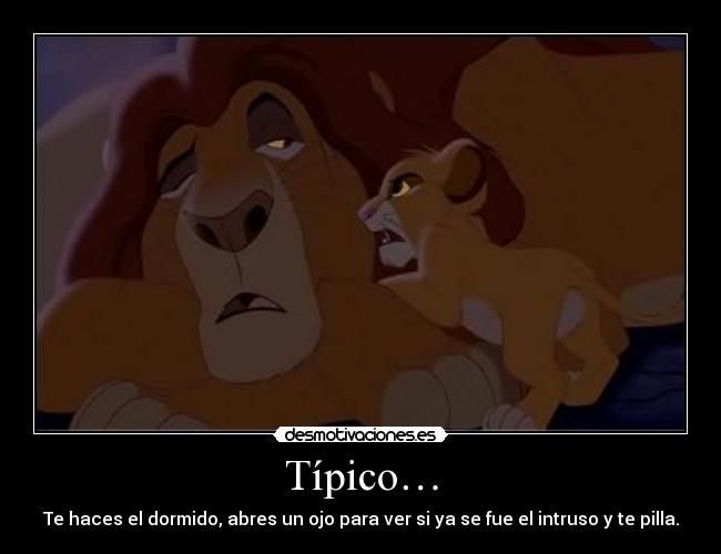 Típico… - 