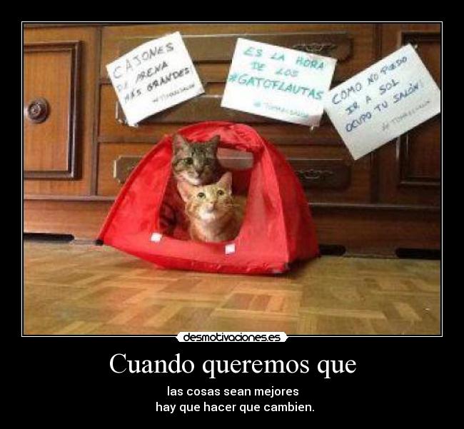 Cuando queremos que -