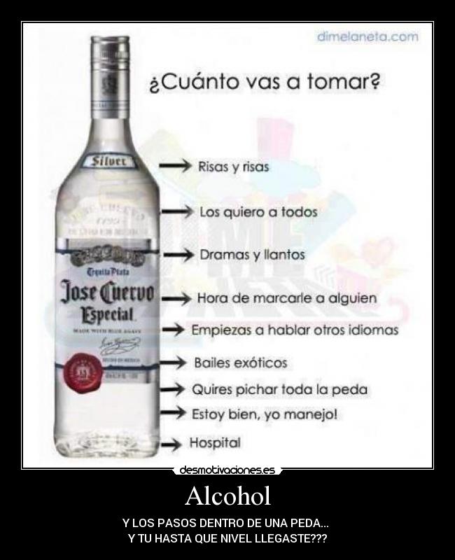 Alcohol - Y LOS PASOS DENTRO DE UNA PEDA... 
Y TU HASTA QUE NIVEL LLEGASTE???