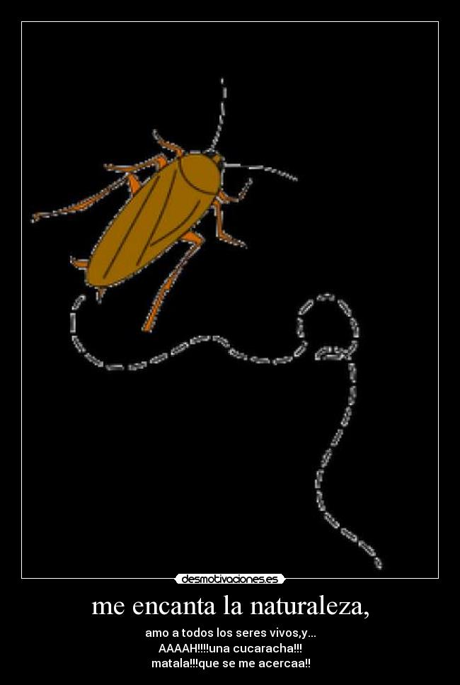 me encanta la naturaleza, - amo a todos los seres vivos,y...
AAAAH!!!!una cucaracha!!!
matala!!!que se me acercaa!!