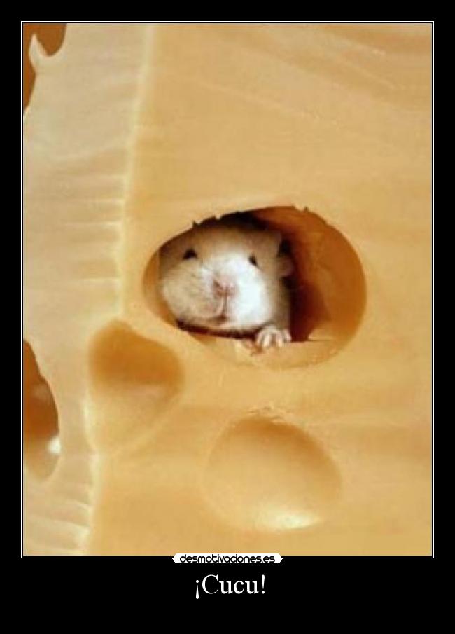 ¡Cucu! -