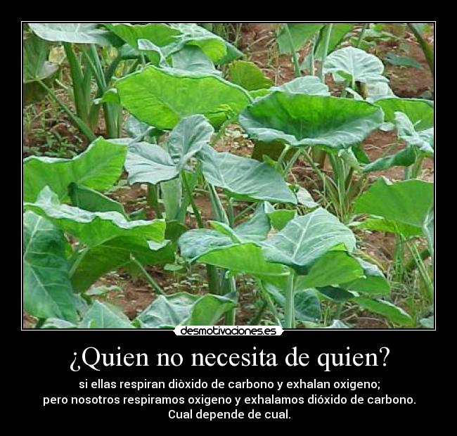 ¿Quien no necesita de quien? - si ellas respiran diòxido de carbono y exhalan oxigeno;
pero nosotros respiramos oxigeno y exhalamos dióxido de carbono.
Cual depende de cual.