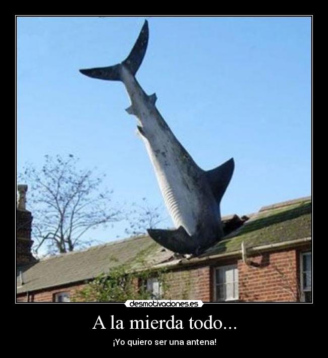 A la mierda todo... - ¡Yo quiero ser una antena!