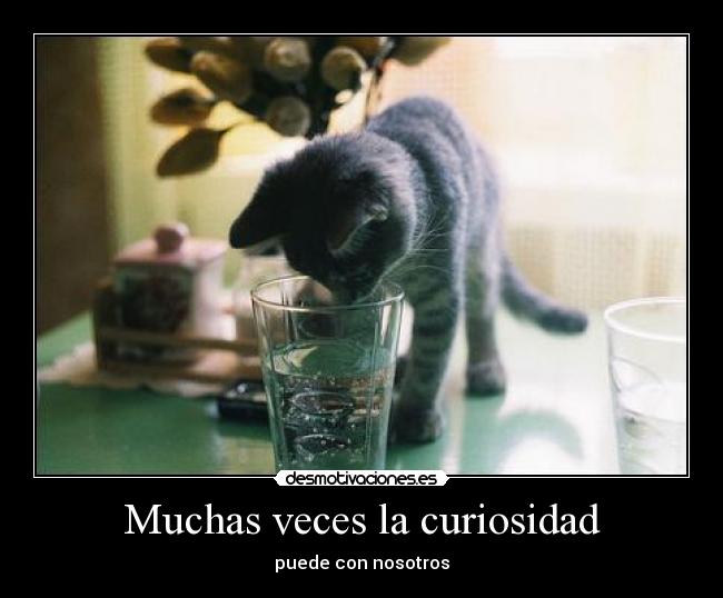 Muchas veces la curiosidad - 