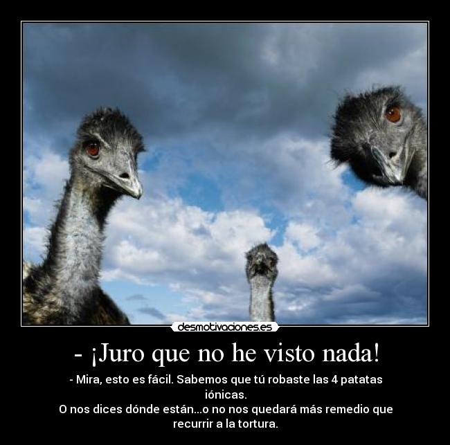 - ¡Juro que no he visto nada! - 