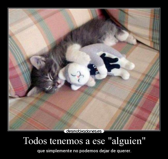 Todos tenemos a ese alguien - 