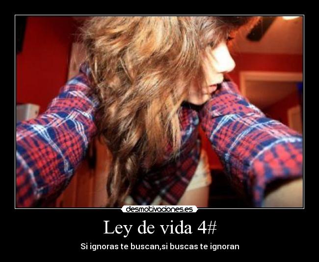 Ley de vida 4# -