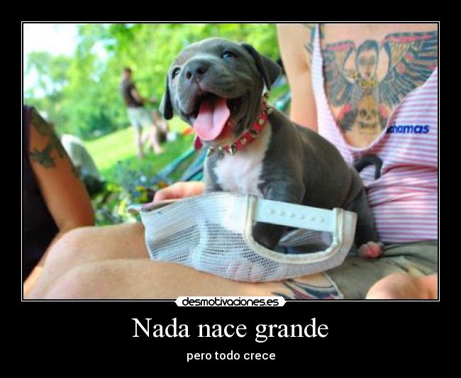 carteles baobas desmotivaciones