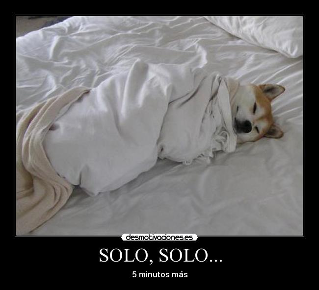 SOLO, SOLO... - 