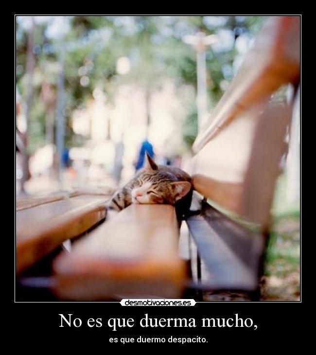 No es que duerma mucho, -