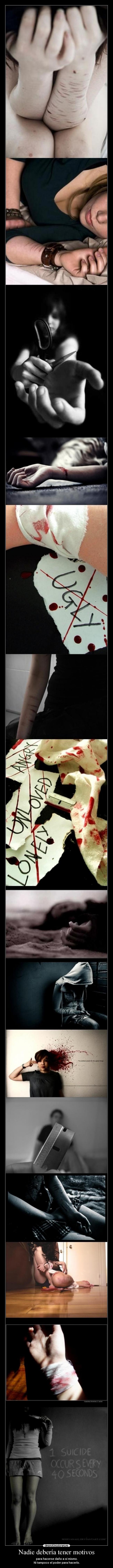 Nadie debería tener motivos - 