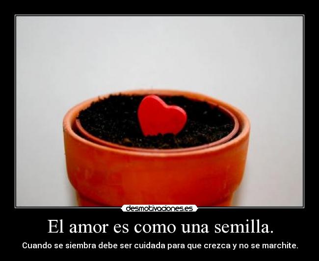 El amor es como una semilla. - Cuando se siembra debe ser cuidada para que crezca y no se marchite.