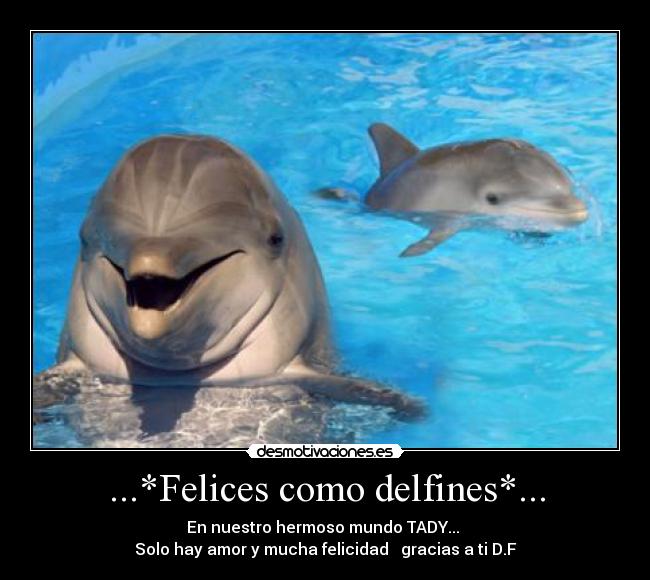 ...*Felices como delfines*... - En nuestro hermoso mundo TADY... 
Solo hay amor y mucha felicidad ♥ gracias a ti D.F