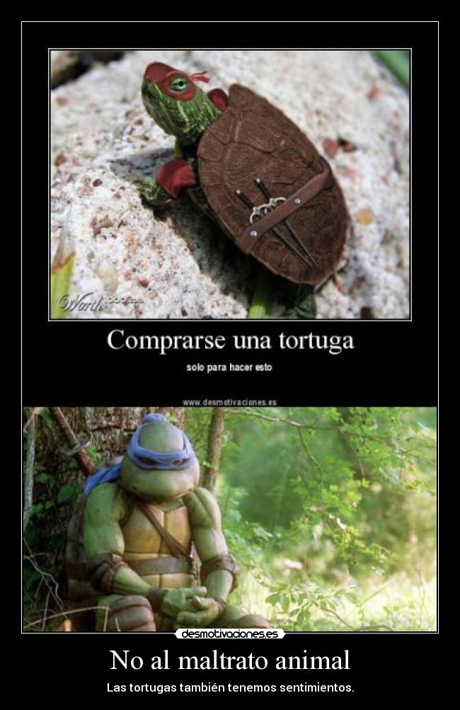 No al maltrato animal - Las tortugas también tenemos sentimientos.