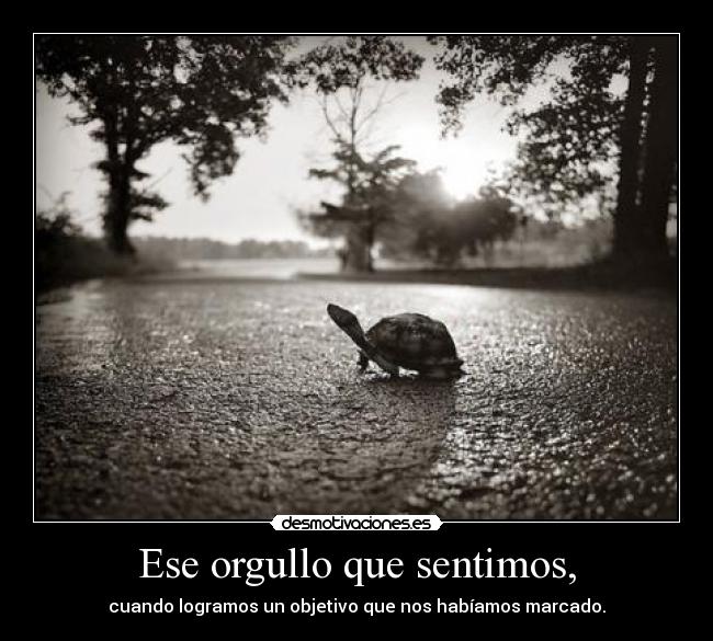 Ese orgullo que sentimos, - 