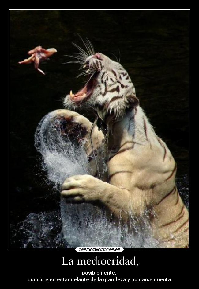 La mediocridad, - posiblemente, 
consiste en estar delante de la grandeza y no darse cuenta.