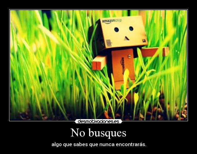 No busques - 