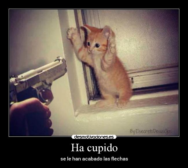 Ha cupido - se le han acabado las flechas