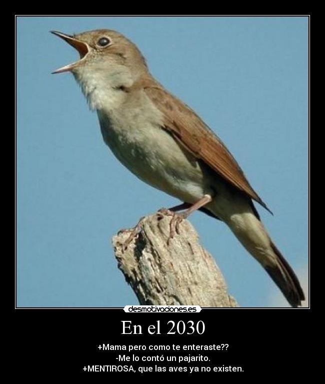 carteles asi terminaremos con las especies animales desmotivaciones