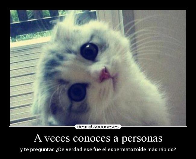 A veces conoces a personas -