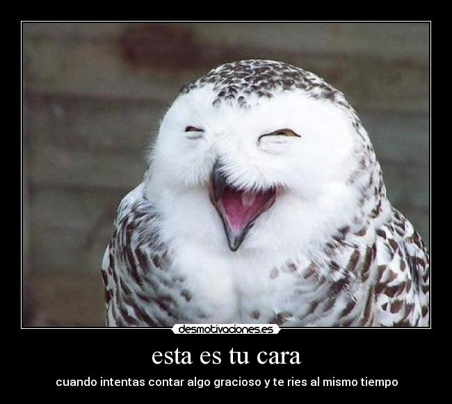 esta es tu cara -