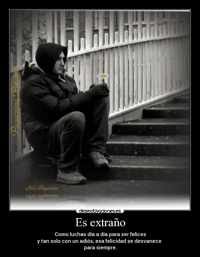 carteles extrano como luchas dia dia para ser felices tan solo con adios esa felicidad desvanec desmotivaciones