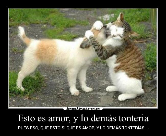 Esto es amor, y lo demás tonteria - PUES ESO, QUE ESTO SI QUE ES AMOR, Y LO DEMÁS TONTERÍAS....