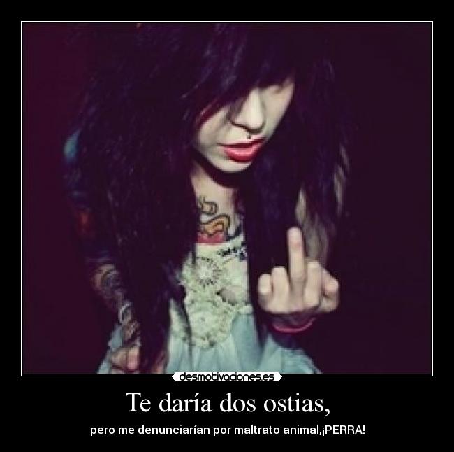 Te daría dos ostias, - pero me denunciarían por maltrato animal,¡PERRA!