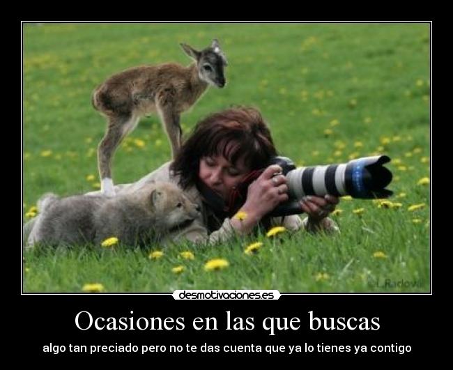 carteles busca busca encuentra que contigo esta desmotivaciones