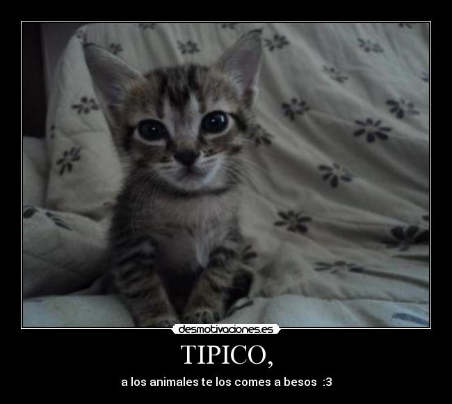 TIPICO, -