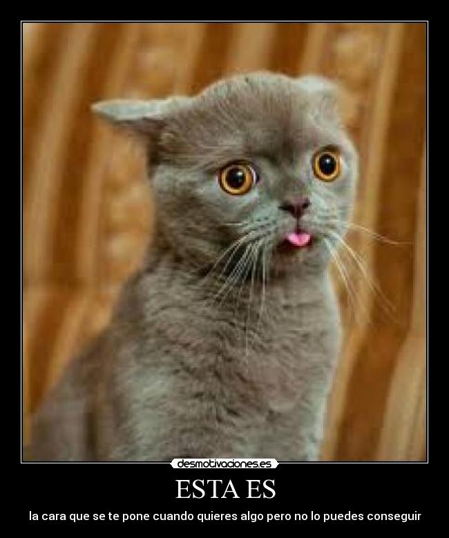 carteles sararika desmotivaciones