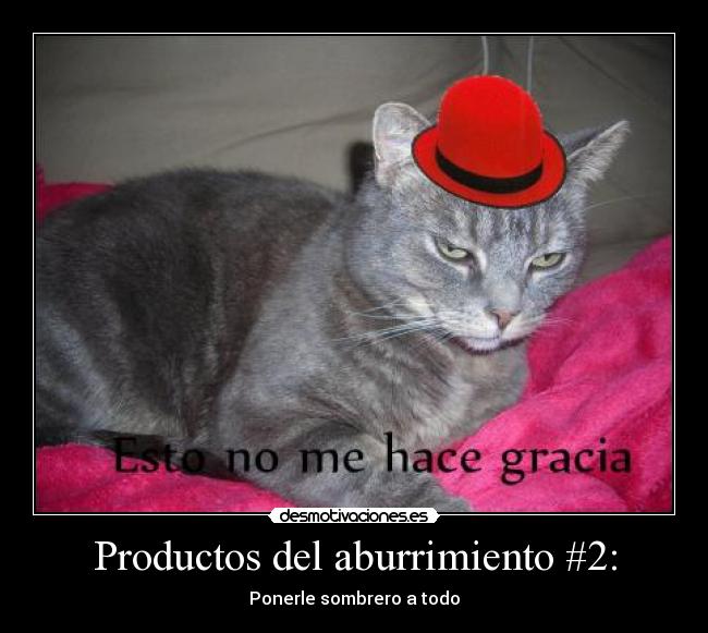 Productos del aburrimiento #2: - 