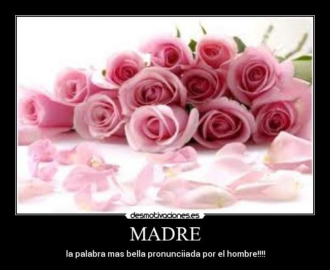 MADRE - la palabra mas bella pronunciiada por el hombre!!!!