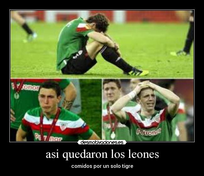 asi quedaron los leones - comidos por un solo tigre