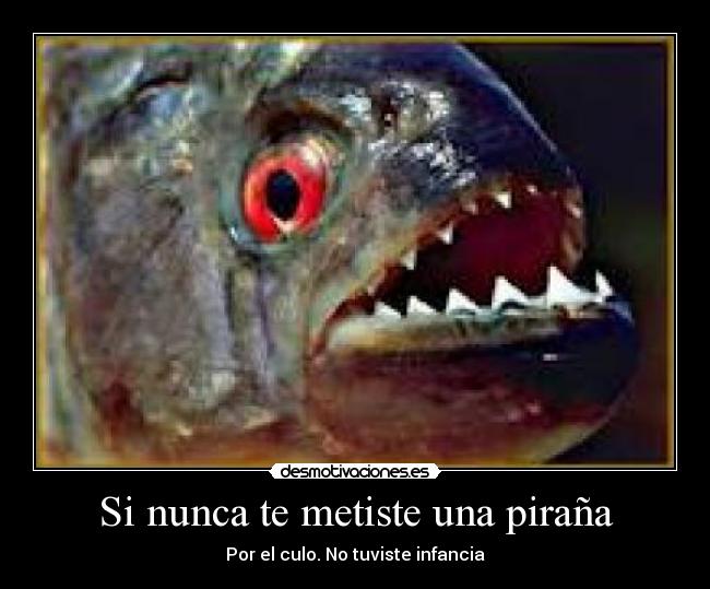 Si nunca te metiste una piraña - Por el culo. No tuviste infancia