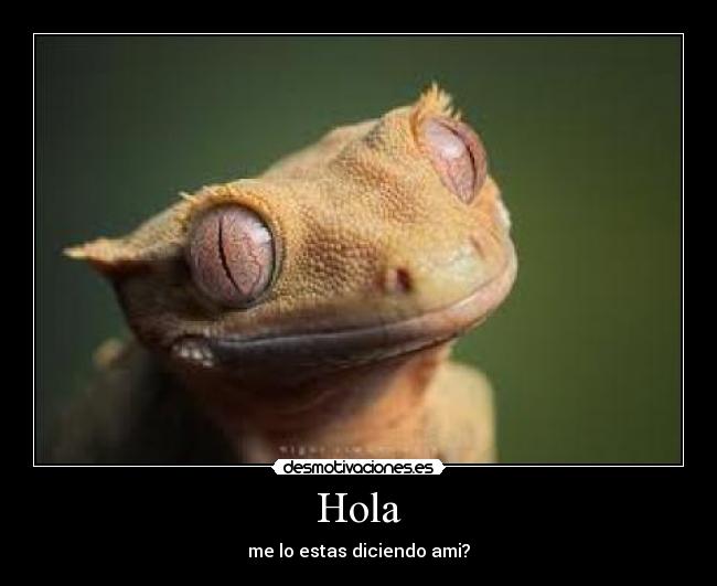 Hola -