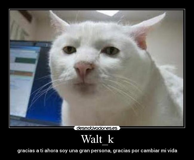 Walt_k - gracias a ti ahora soy una gran persona, gracias por cambiar mi vida